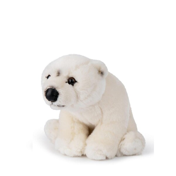 WWF 23 CM 9