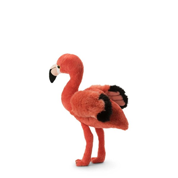WWF 23 CM 9