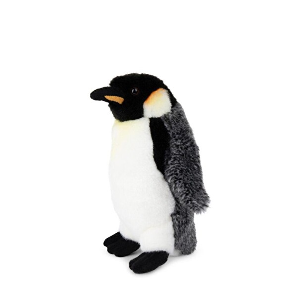 WWF 20 CM 8