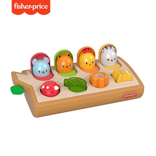 Fisher Price Sürprizli Arkadaşlar GJW24