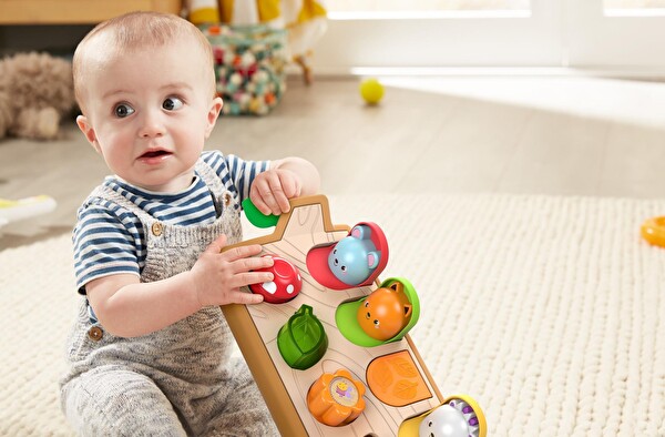 Fisher Price Sürprizli Arkadaşlar GJW24
