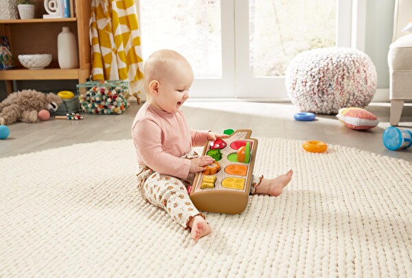 Fisher Price Sürprizli Arkadaşlar GJW24