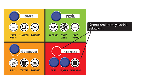 Sam Games Acaba Neyim? Junior - Meyveler ve Sebzeler