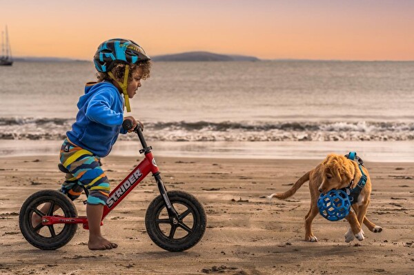 Strider 12 Sport Siyah Denge Bisikleti