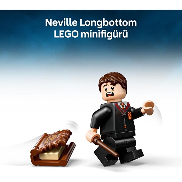 LEGO Harry Potter Isıran Canavar Kitap 76449