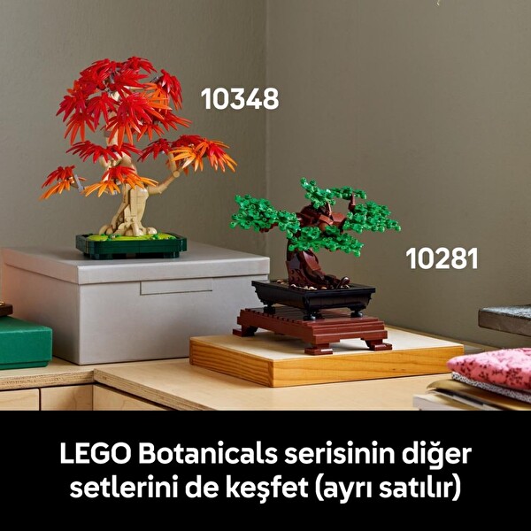 takaomiページ LEGO Botanicals Japon Kırmızı Akçaağaç Bonsai Ağacı 10348 Fiyatı