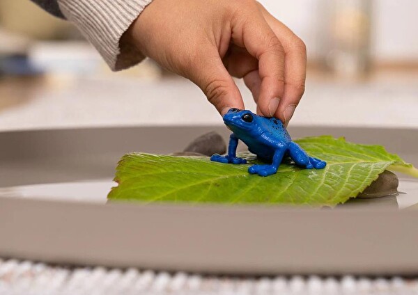Schleich Zehirli Dart Kurbağası 14864