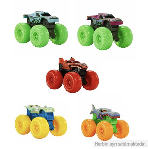 Hot Wheels Monster Trucks Color Reveal Sürpriz Renk Değiştiren Araçlar HJF39
