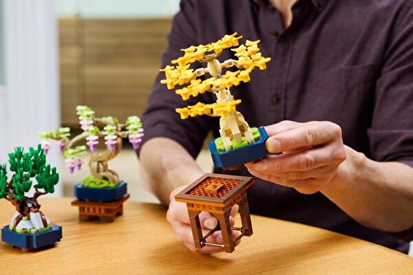 LEGO Botanicals Mini Bonsai Ağaçları - 10373