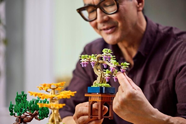 LEGO Botanicals Mini Bonsai Ağaçları - 10373