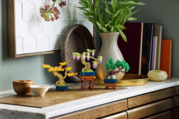 LEGO Botanicals Mini Bonsai Ağaçları - 10373