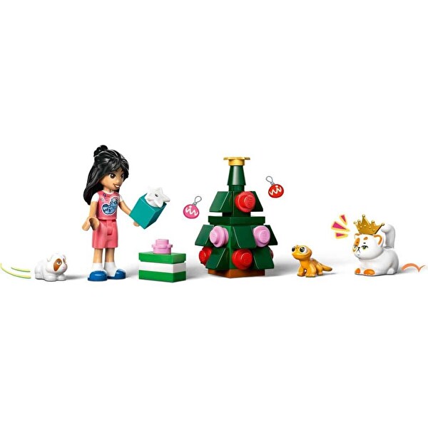 LEGO Friends 42668 Friends Advent Calendar 2025