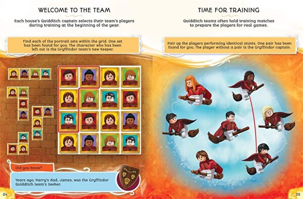 LEGO Harry PotterT: Harry's Hogwarts Adventures (with LEGO® Harry PotterT minifigure)