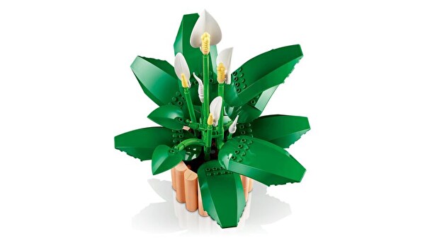 LEGO Botanicals Barış Çiçeği 11504