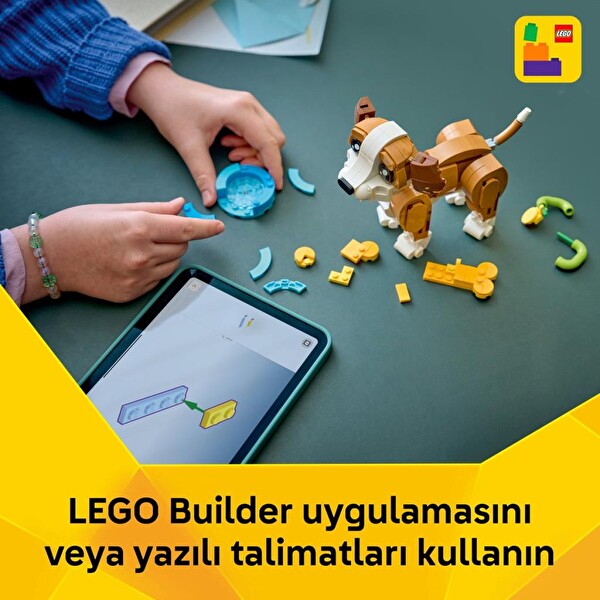 LEGO Creator 3'ü 1 Arada Sevimli Hayvanlar Oyunbaz Yavru Köpek 31382