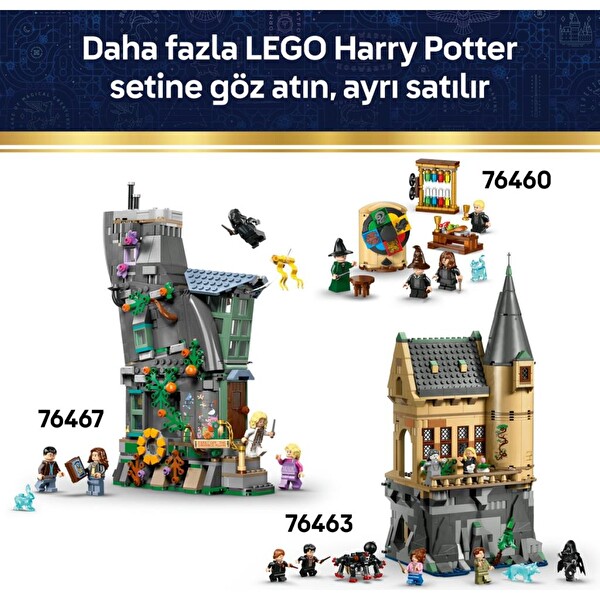LEGO Harry Potter Kazan: Gizli İksir Sınıfı 76464