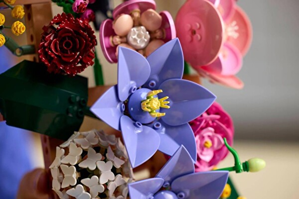 LEGO Botanicals Çiçek Duvarı 11503