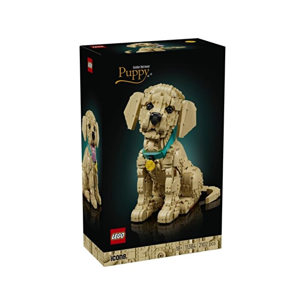 LEGO 11384 Icons Yavru Golden Retriever Oyuncak