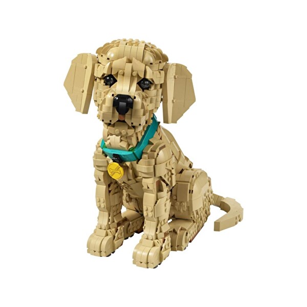 LEGO 11384 Icons Yavru Golden Retriever Oyuncak