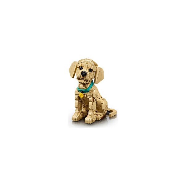 LEGO 11384 Icons Yavru Golden Retriever Oyuncak