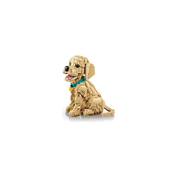 LEGO 11384 Icons Yavru Golden Retriever Oyuncak