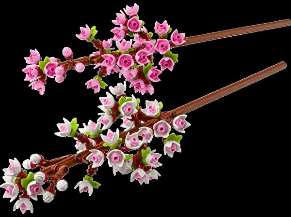 LEGO Botanicals 40725 Cherry Blossoms New
