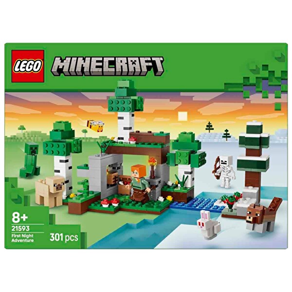 LEGO Minecraft İlk Gece Macerası 21593