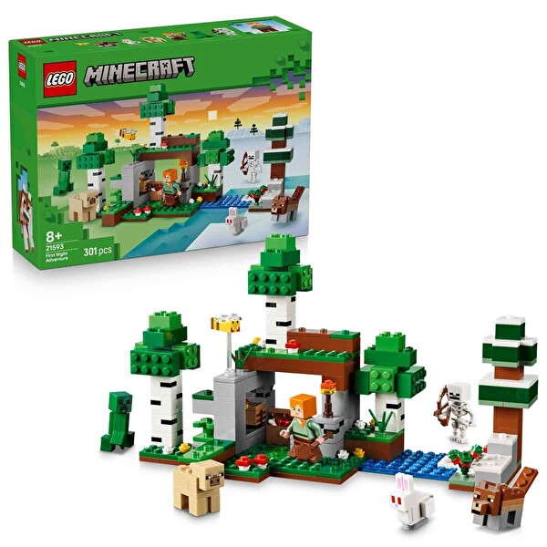 LEGO Minecraft İlk Gece Macerası 21593