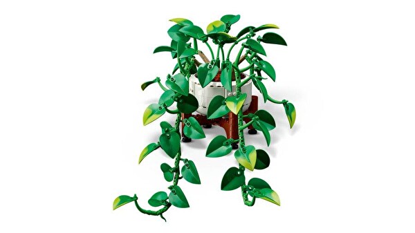 LEGO Botanicals Salon Sarmaşığı 11512