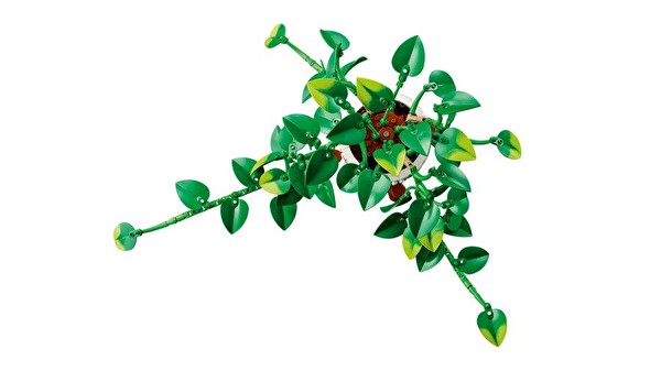 LEGO Botanicals Salon Sarmaşığı 11512