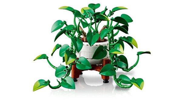 LEGO Botanicals Salon Sarmaşığı 11512