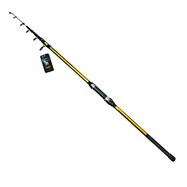 Master Boat 2.40 M 120 GR Aksiyonlu Bot Tekne Kamışı