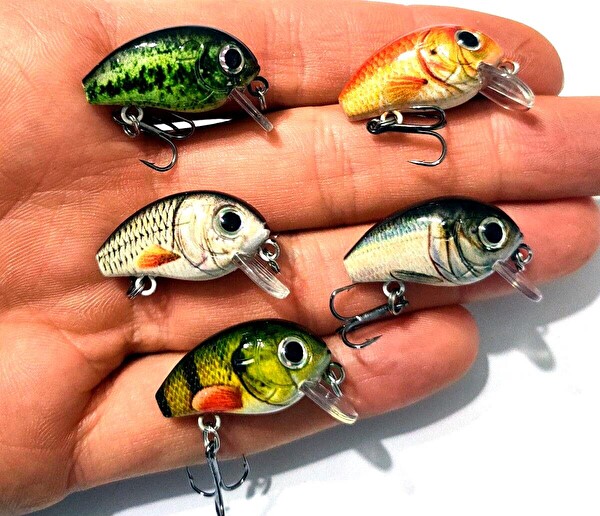 Valkyrie Crankbait LRF Sesli Bilyalı Kutulu 2.7 CM 1.5 GR Balık Olta Yem Seti - 5 Adet