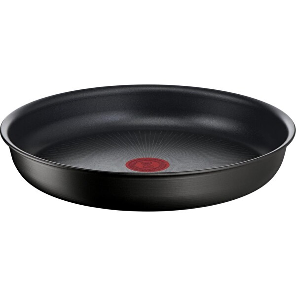 Tefal Ingenio Titanyum 6X İndüksiyon Tabanlı Mix Tava 22 CM L76303
