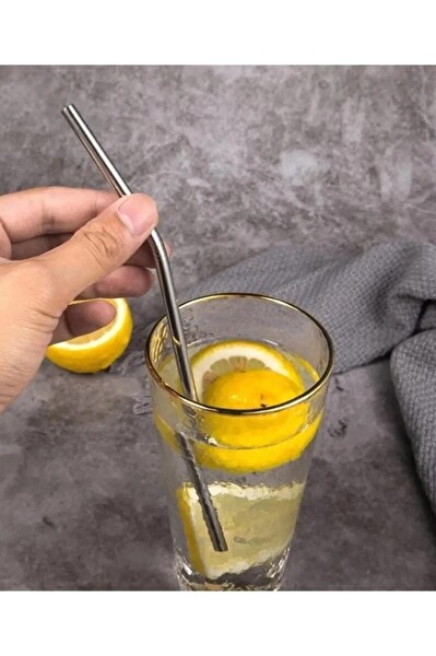 Mithra Life 2'li Metal Paslanmaz Çelik Pipet ve Temizleme Fırçası MIT1116