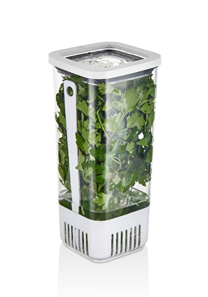 Technow VP-007 Suda Yeşillik Saklama Kabı 1.7 LT 2 Adet