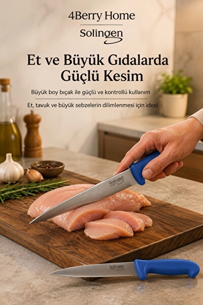 Solingen 2’li Paslanmaz Çelik Mutfak Bıçağı Seti - Et Meyve ve Sebze Bıçağı Mavi
