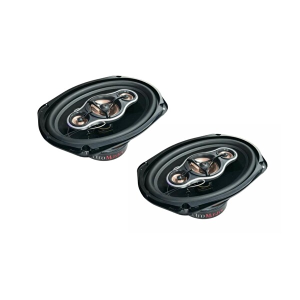 ElectroMaster ES-6990 1000 Watt Oval Oto Hoparlör