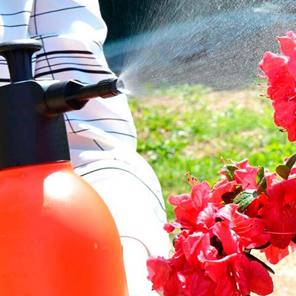 Dimartino BERTANI SIRIO 2000 Bahçe Pompası 2Lt.