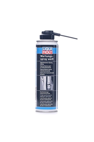 Liqui Moly Kilit Bakım Spreyi 250 ML 3075
