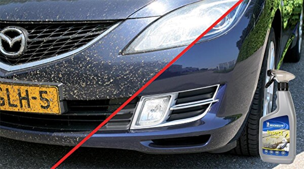 Michelin MC31401 650 ML Böcek Sinek Sivrisinek Temizleme Spreyi