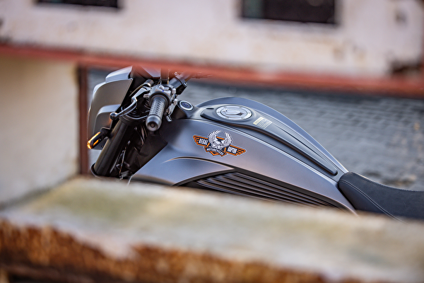 Regal Raptor DY250 Cruiser Gri Motosiklet - 2025 Model