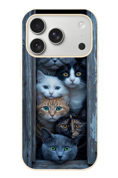 Le Balvo iPhone 17 Pro Uyumlu Yavru Kediler Baskılı Silikon Kılıf