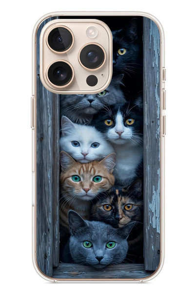 Le Balvo iPhone 16 Pro Uyumlu Yavru Kediler Baskılı Silikon Kılıf