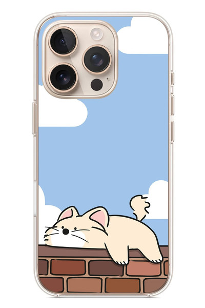 Le Balvo iPhone 16 Pro Uyumlu Duvar Üstünde Kedi Baskılı Silikon Kılıf