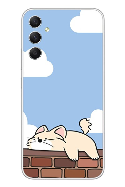 Le Balvo Samsung Galaxy A34 Uyumlu Duvar Üstünde Kedi Baskılı Silikon Kılıf