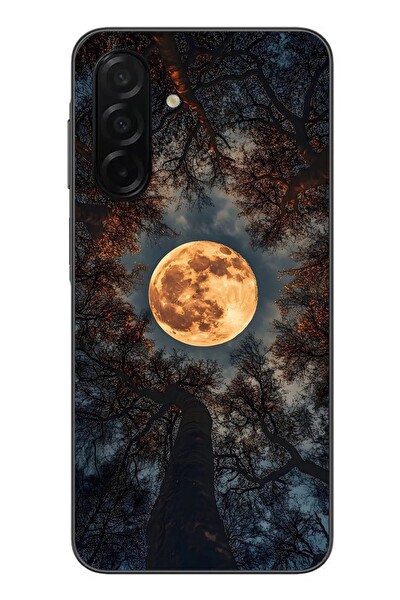 Le Balvo Samsung Galaxy A26 Uyumlu Ay Gökyüzü Baskılı Silikon Kılıf