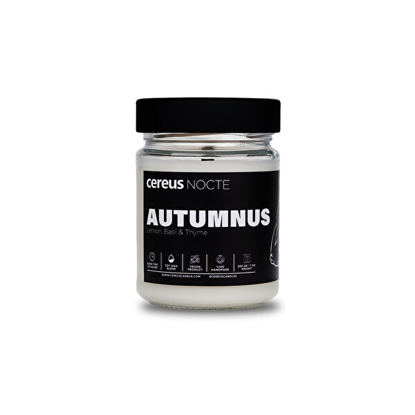 Cereus Nocte Autumnus Lime & Fesleğen Kokulu Soya Mum 210 G
