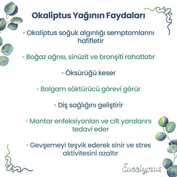 NPO Yogaroma Ferahlatıcı Aromaterapi 10 ML Saf ve Doğal Okaliptus Uçucu Yağ 4 Adet