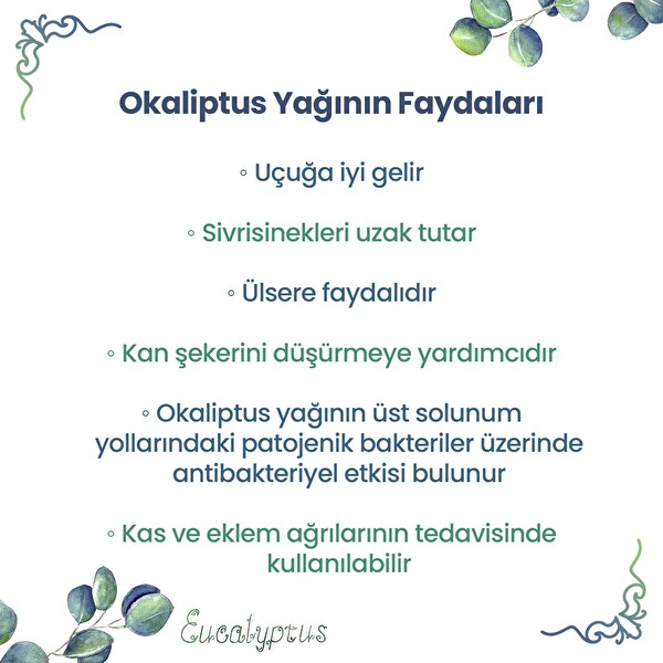 NPO Yogaroma Ferahlatıcı Aromaterapi 10 ML Saf ve Doğal Okaliptus Uçucu Yağ 4 Adet